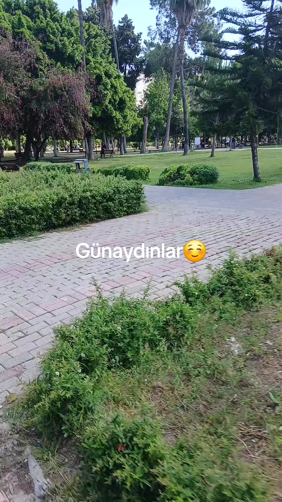 @Zeynep D&uuml;zdelen
