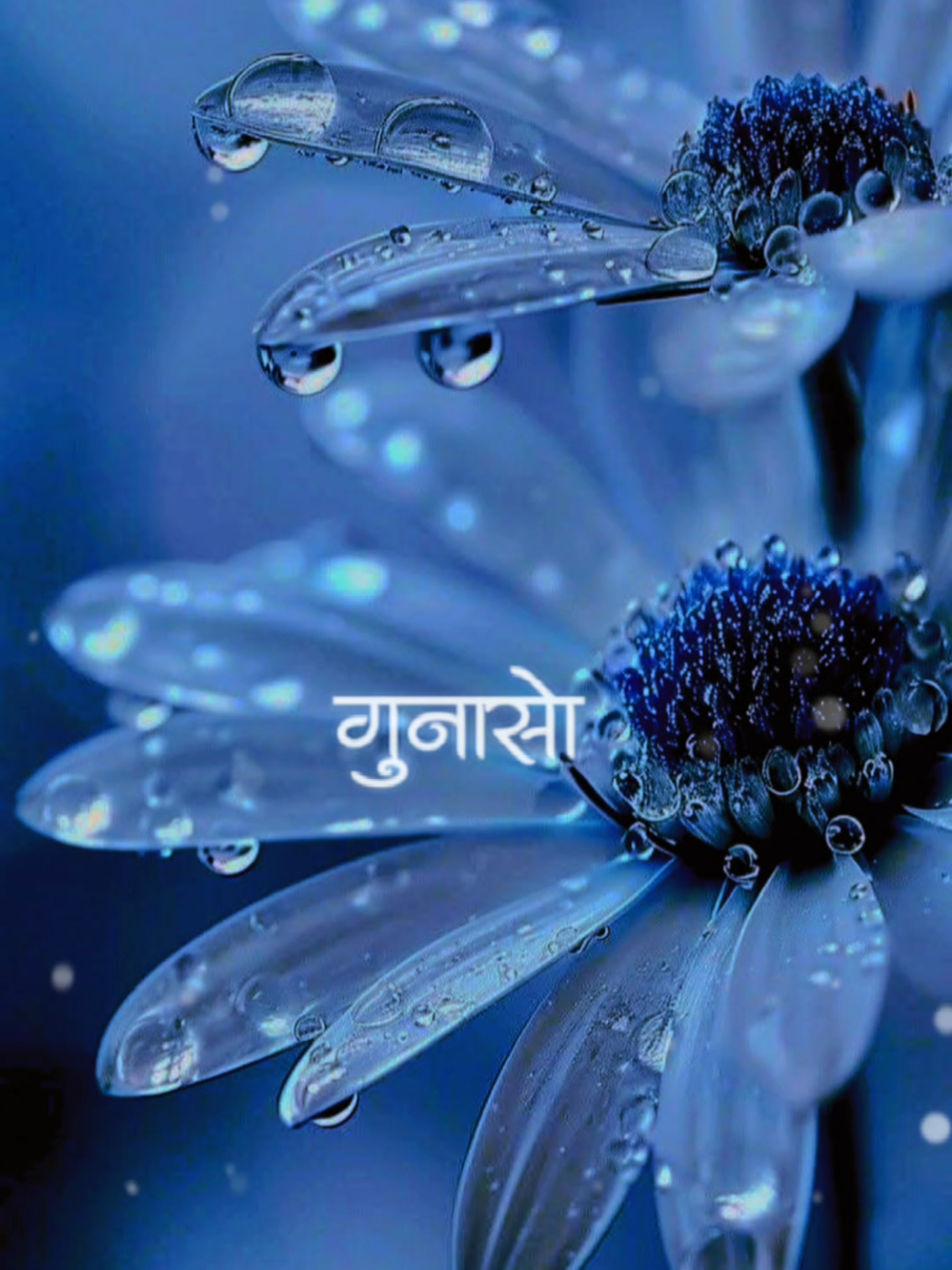 @Antaskaran Timro ra Mero