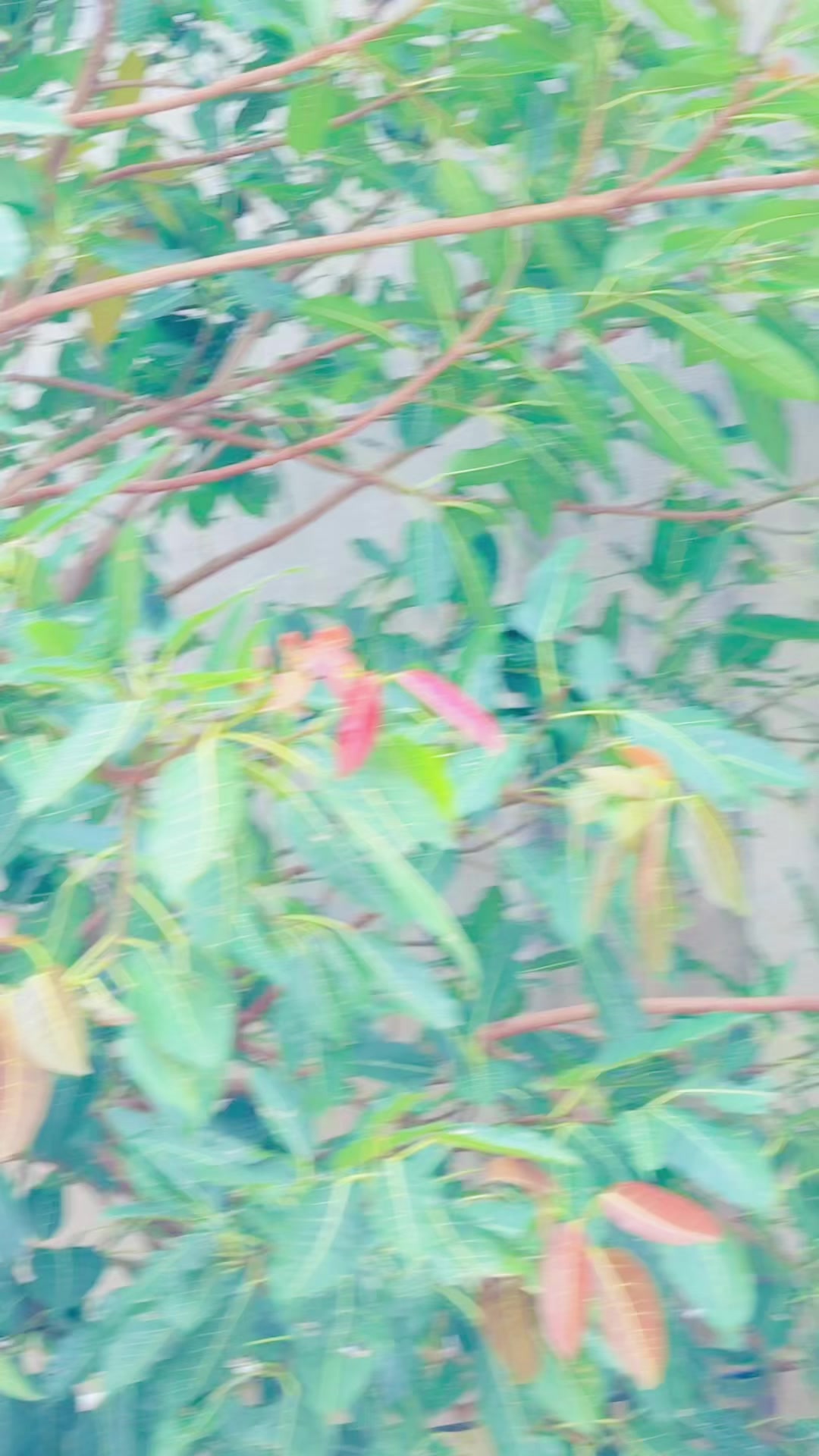 @☺️ABDUL☠️ 5