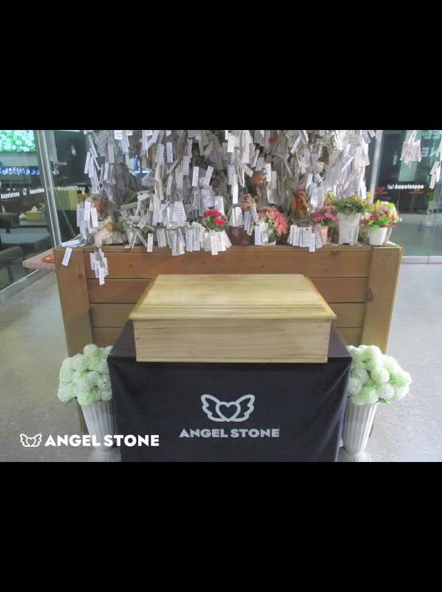 @8냥이 집사