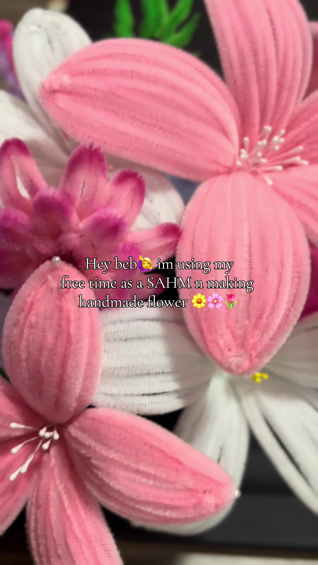 @Anika Isty N.