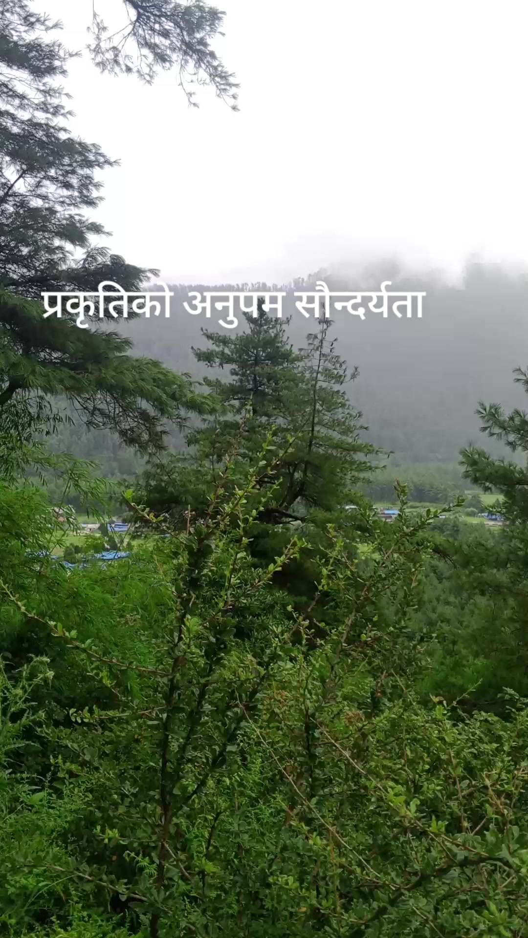 @Mahendra Shahi