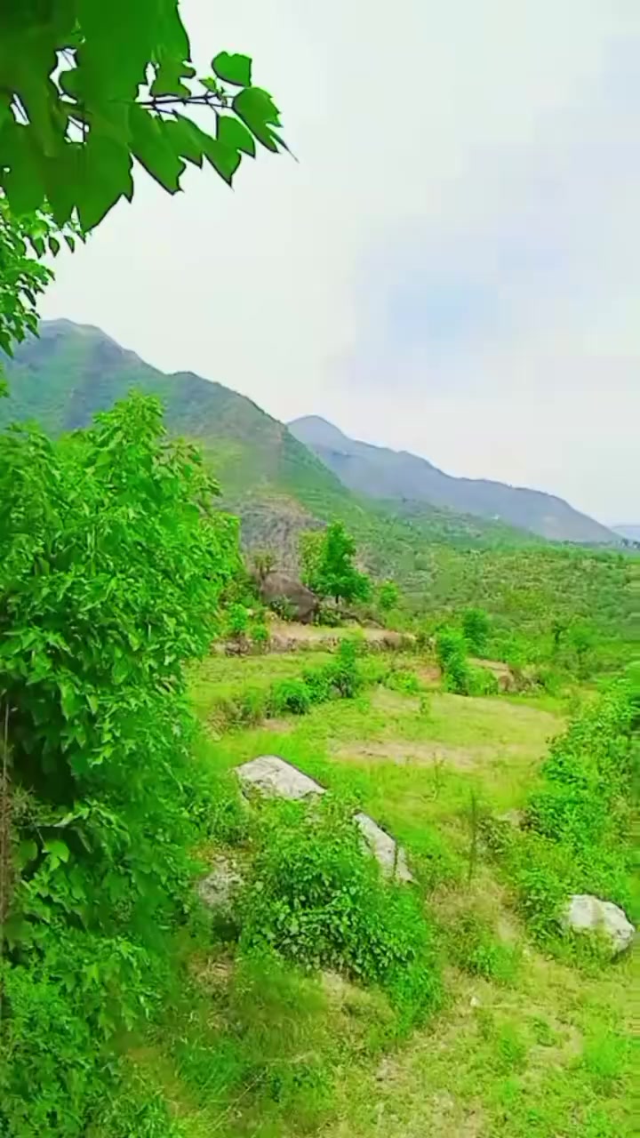 @IMRAN8️⃣0️⃣4️⃣🥀🥀