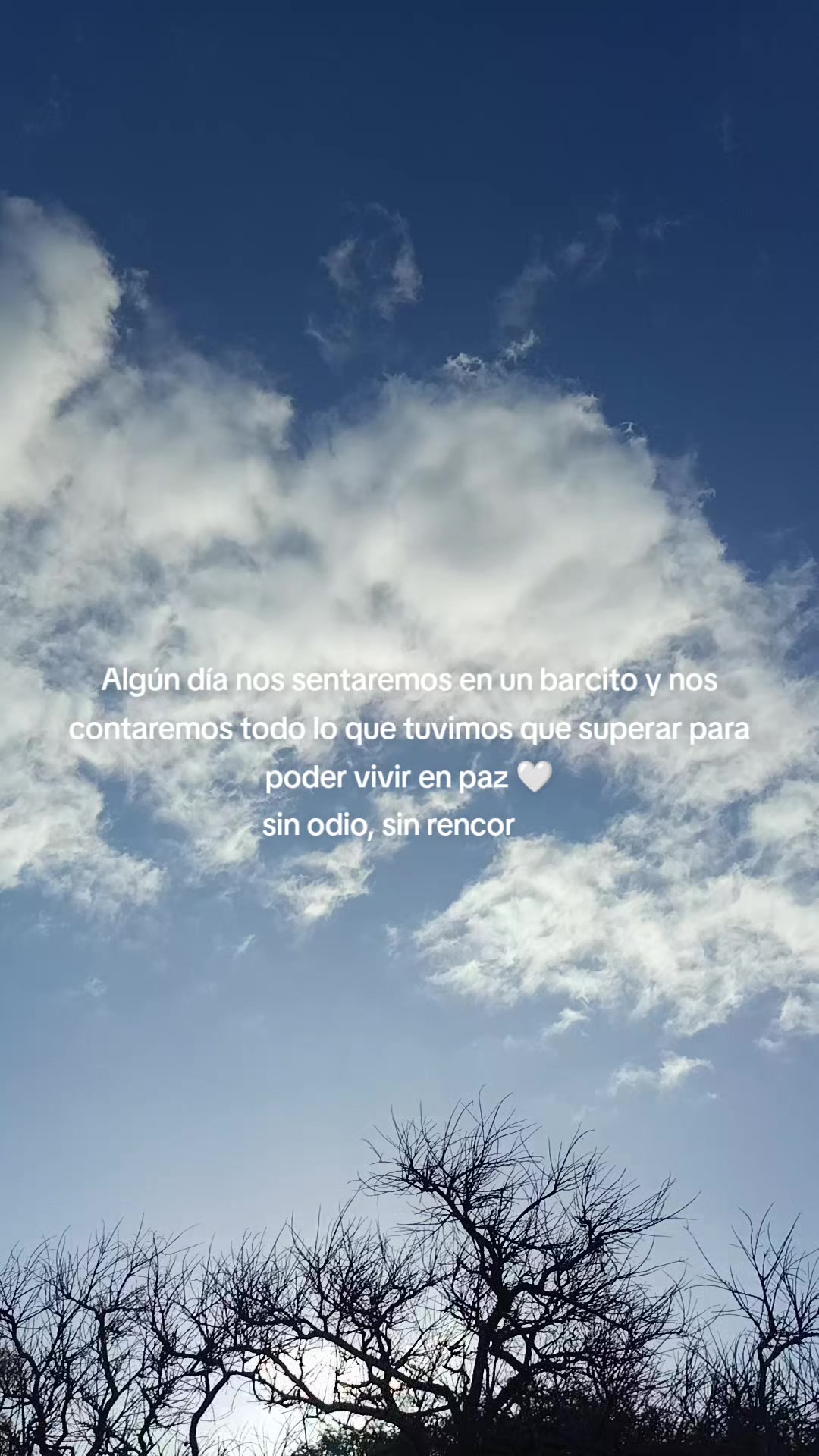 @Lucii 🦋