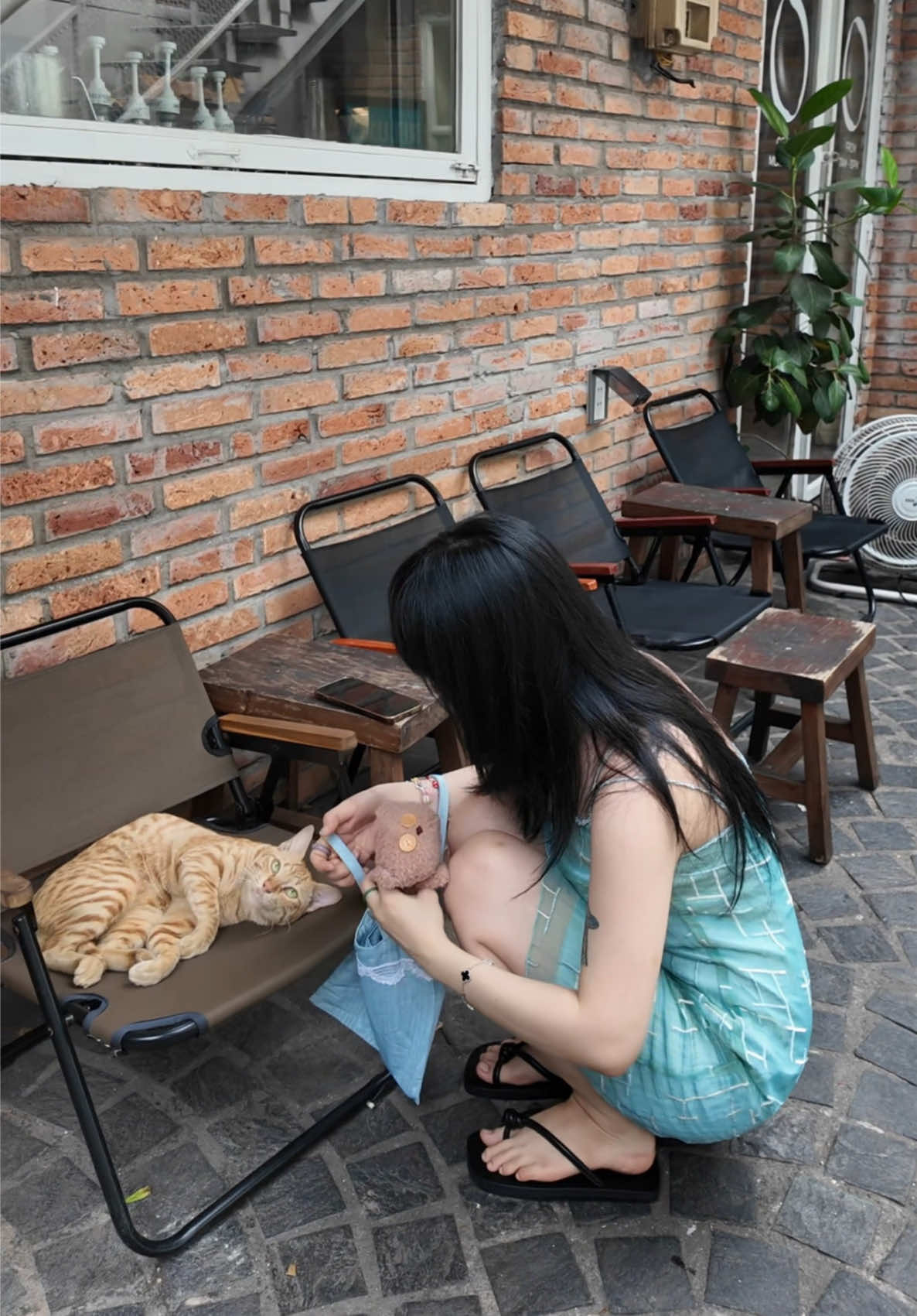 @hoạ quốc yêu phi🐰ྀི