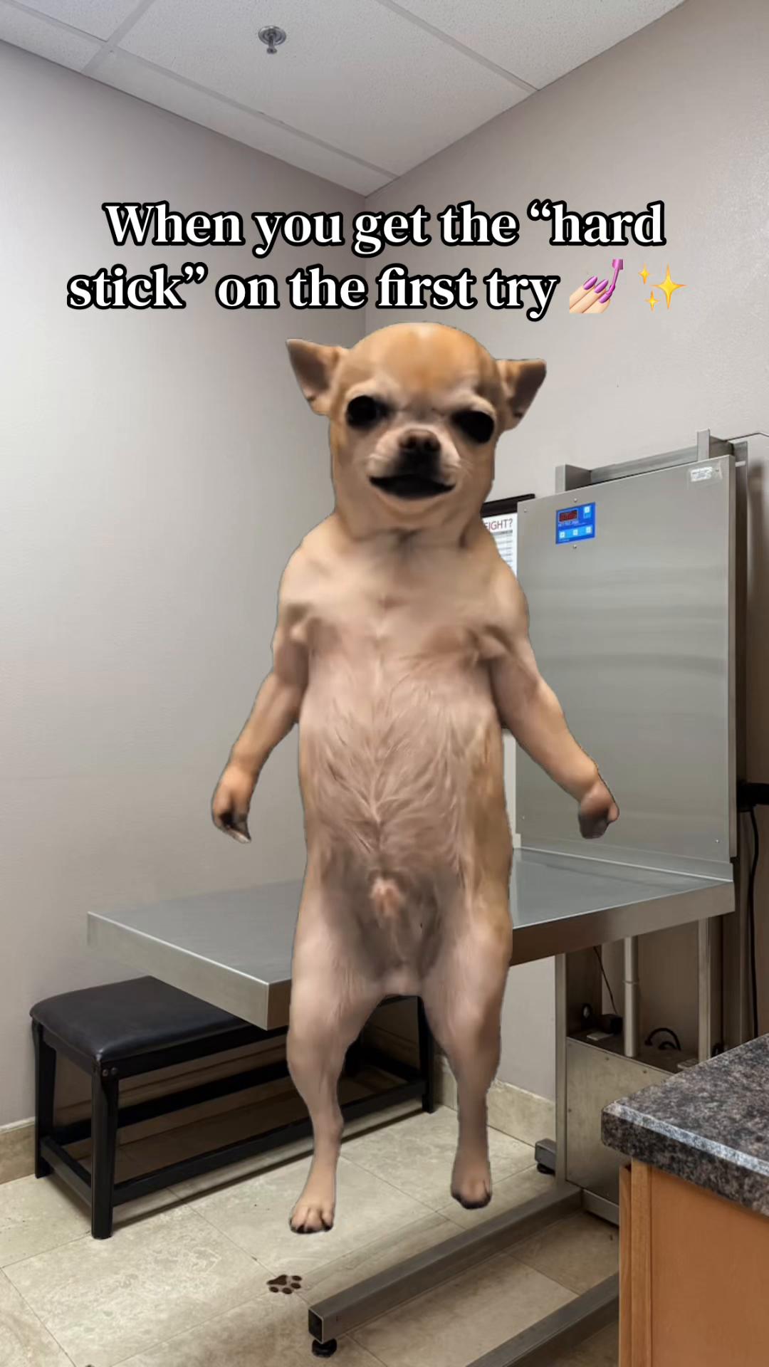 @Anny 🐶🩺🐾