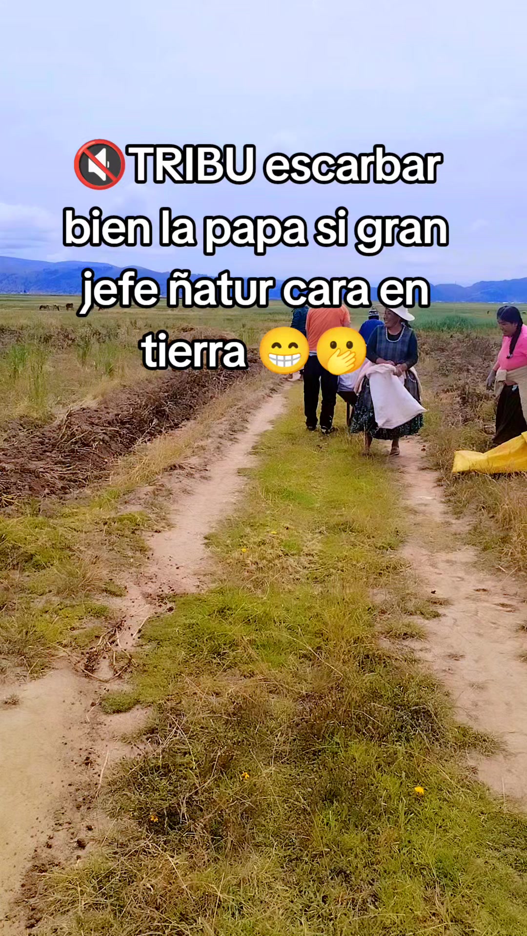 @edwin550