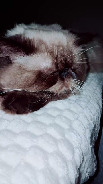 @🇹🇷😻PABLO🇹🇷😻