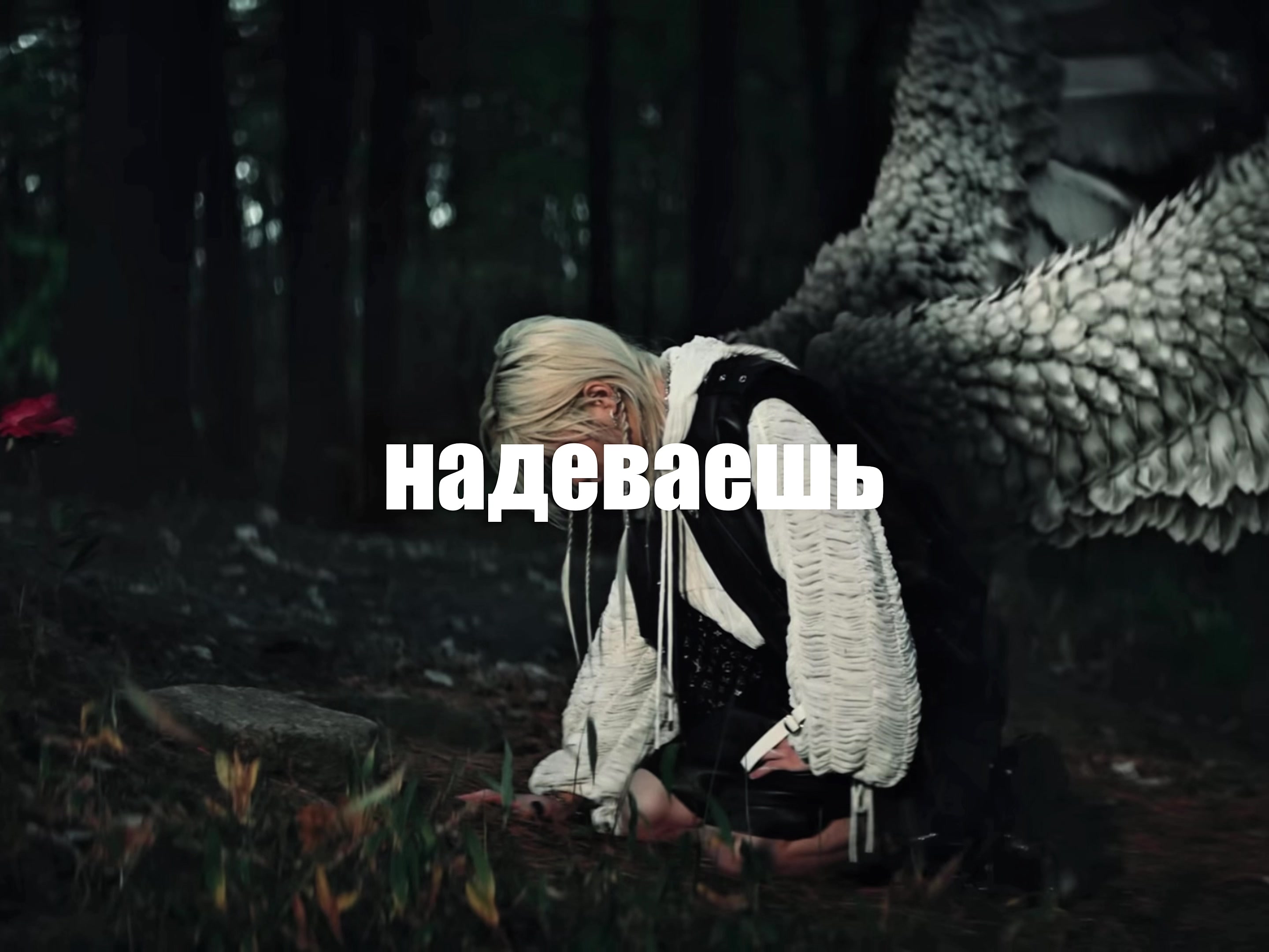 @котлетка