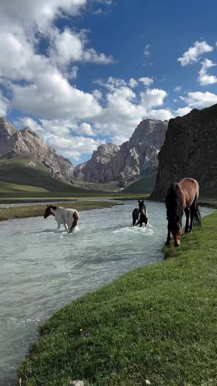 @aestheticvideo
