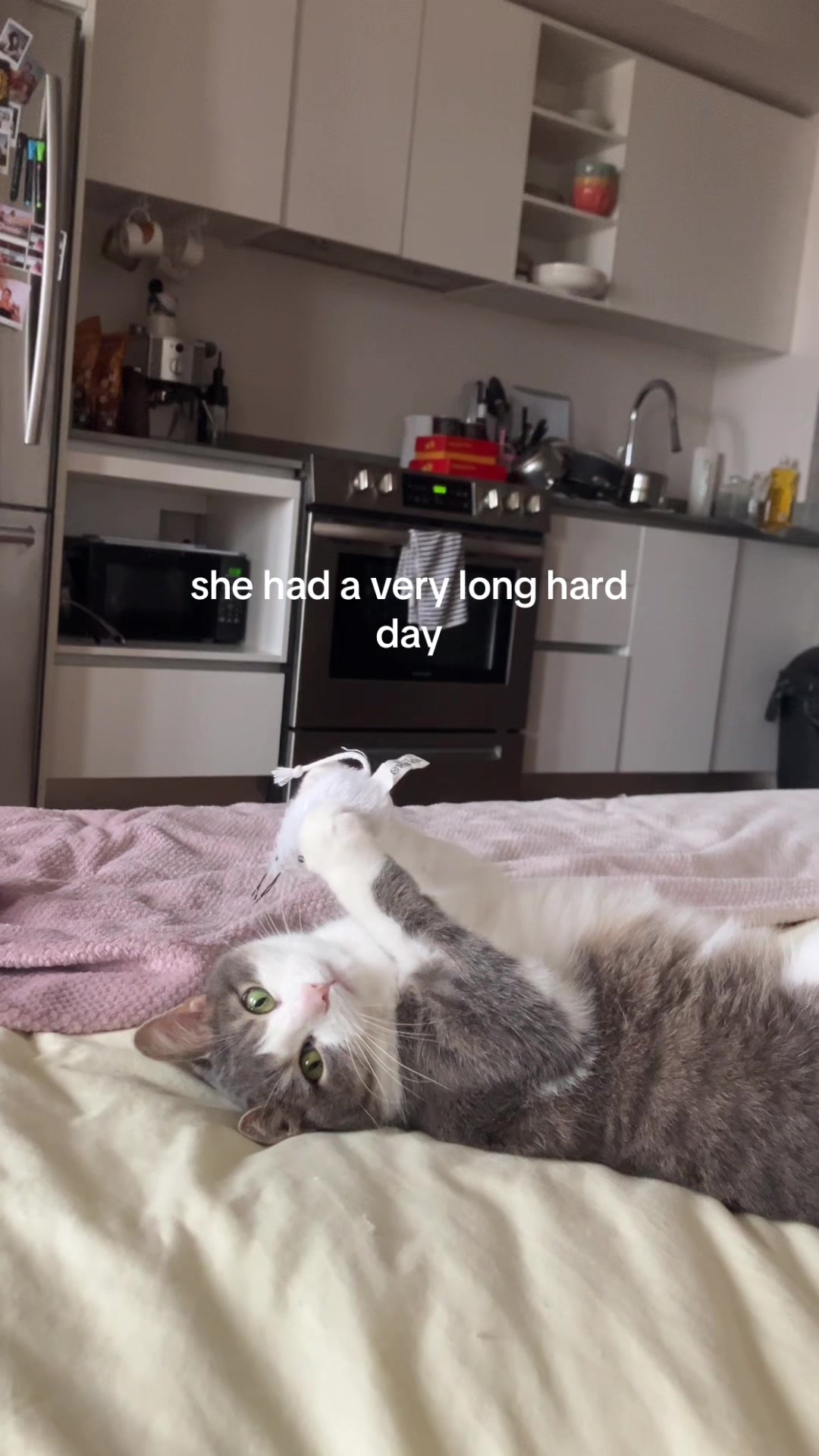 @emm