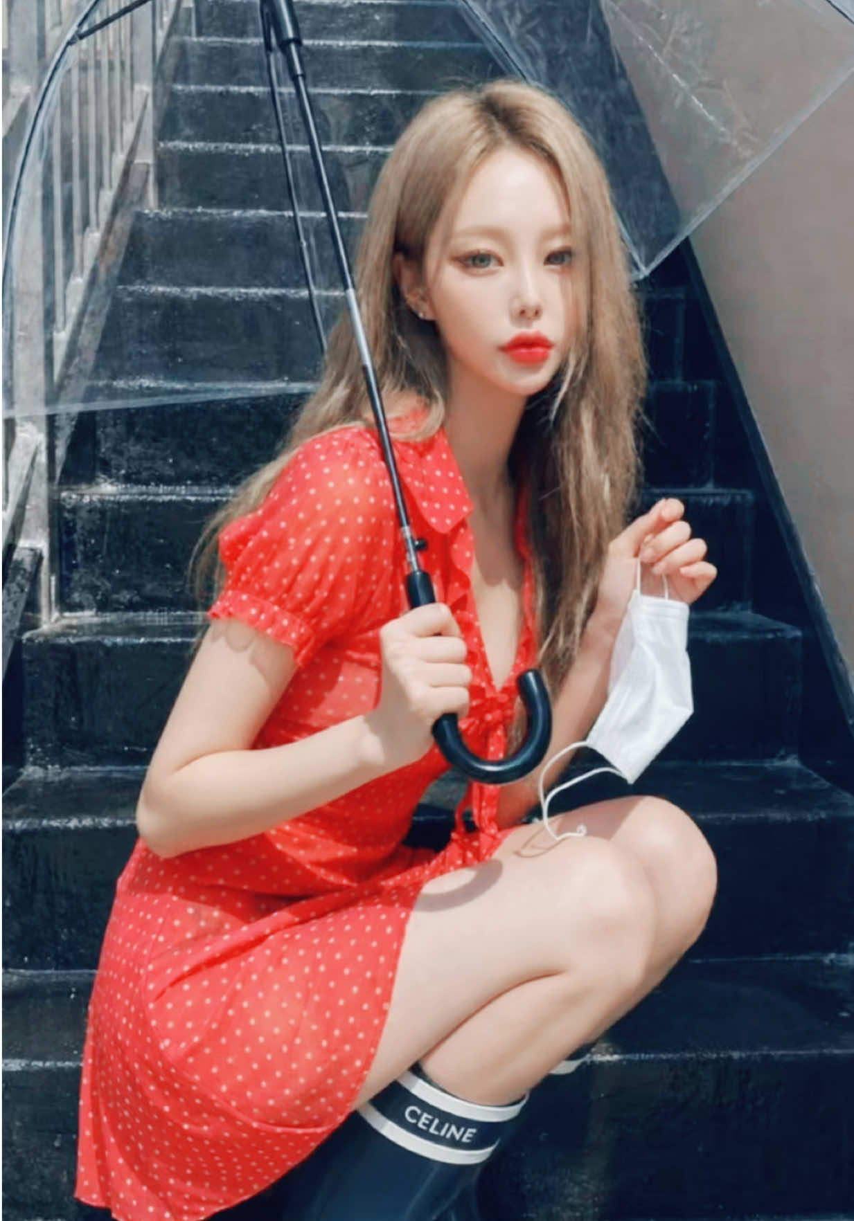 @🌹Hi-al(하이엘)🦋