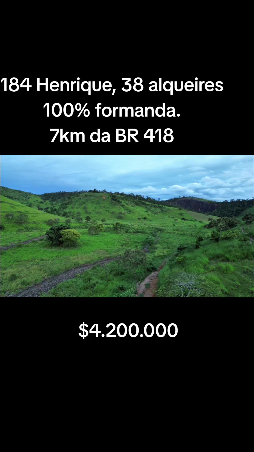 @O REI DAS FAZENDAS.