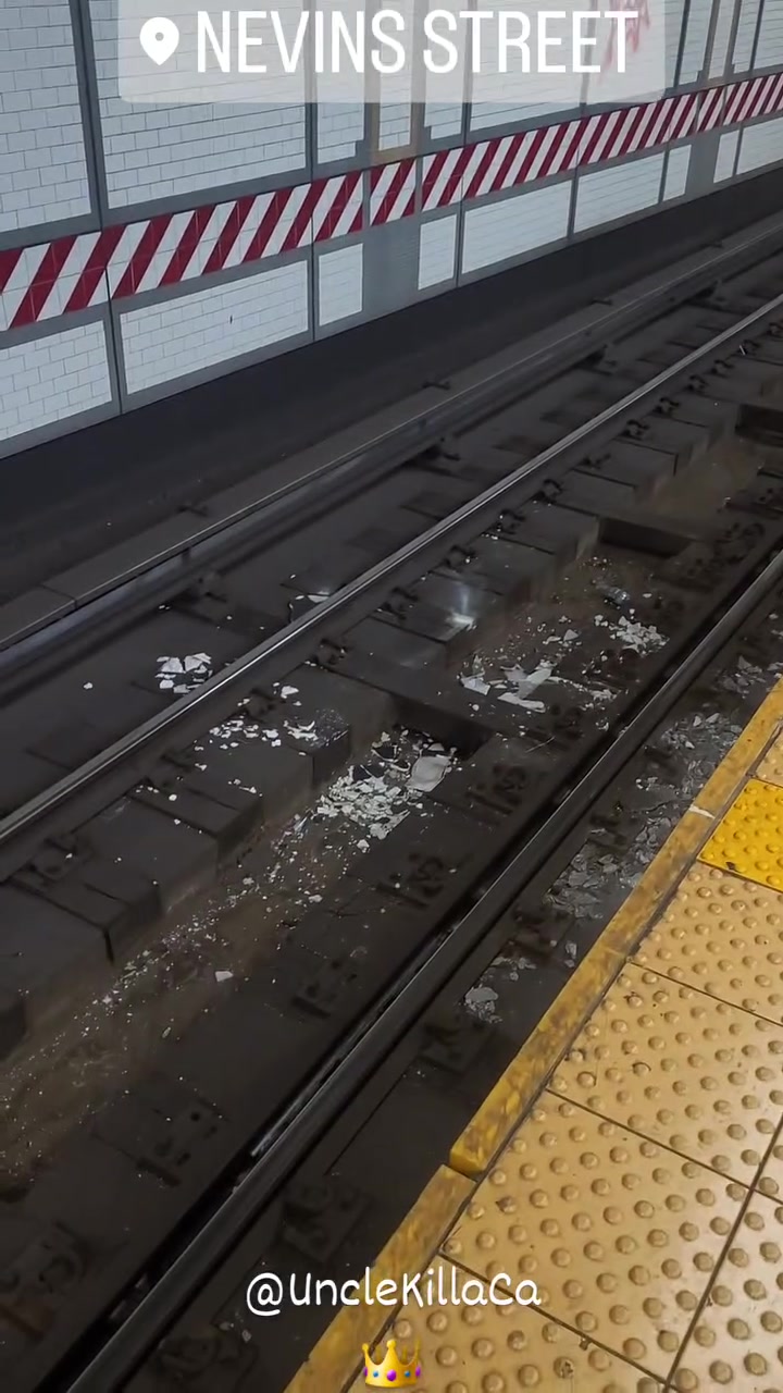 @SubwayCreatures