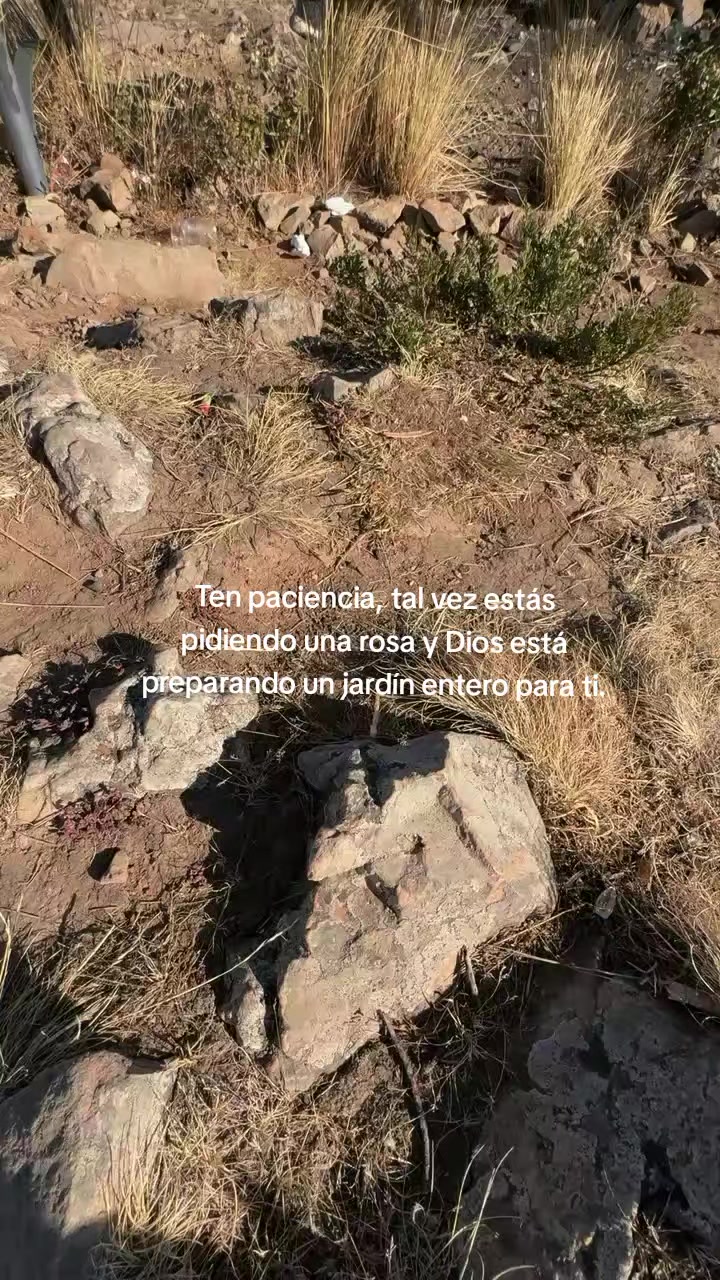 @Isabel Canaza | Psicóloga