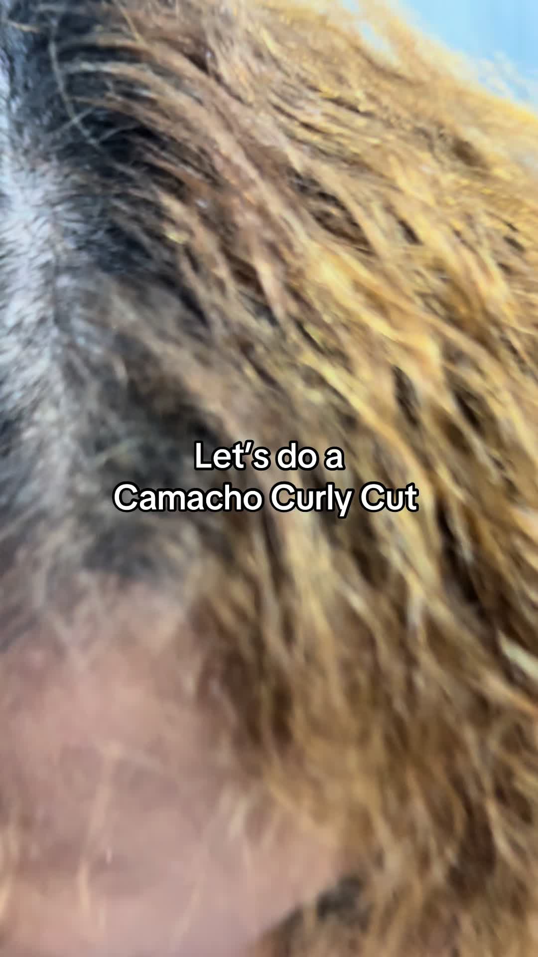 @ShhmoneyCurl