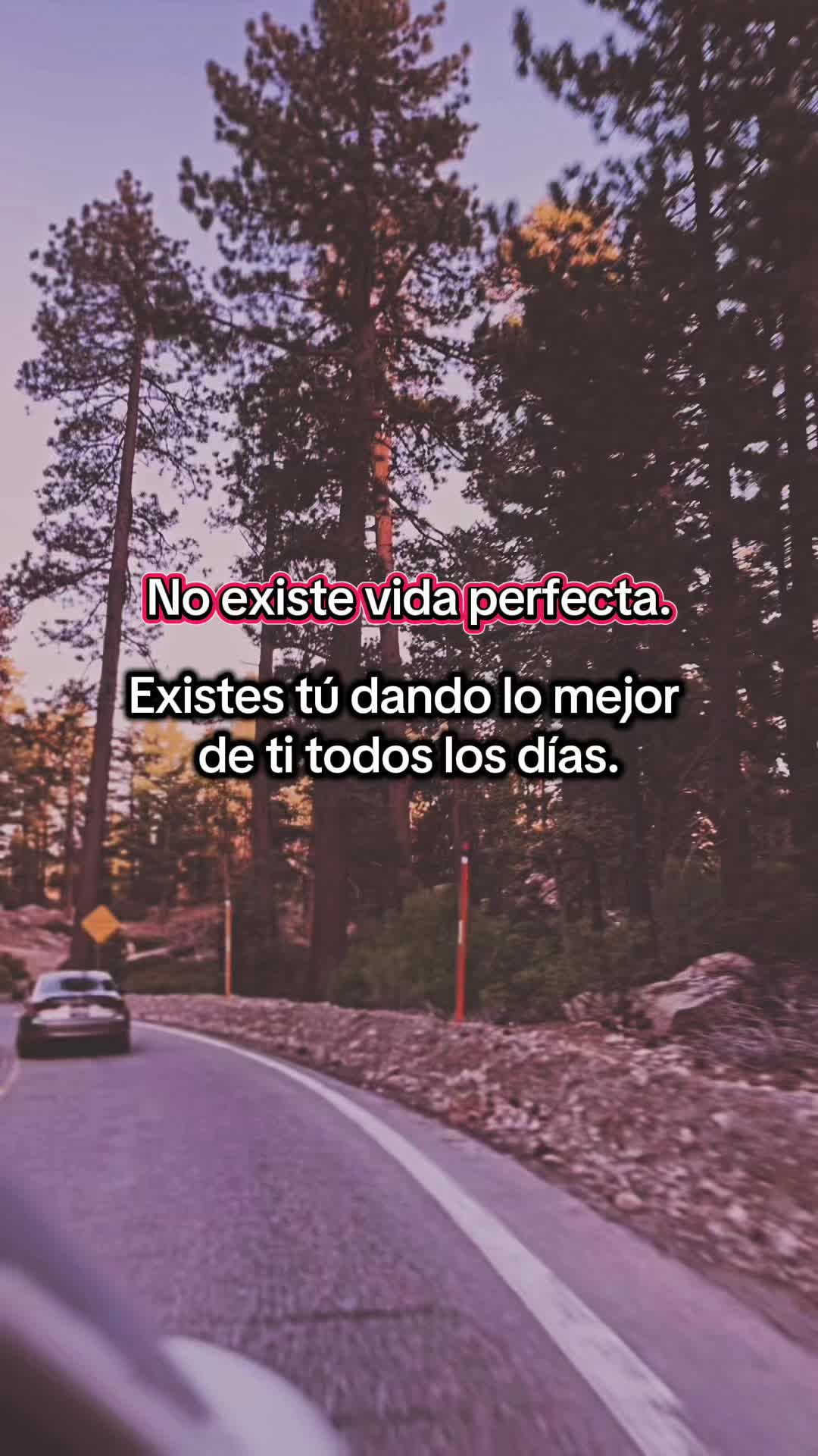 @marlenemiranda7015