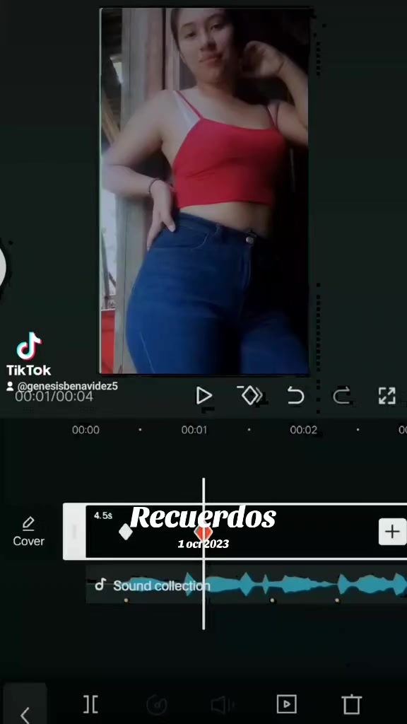 @Lisbeth Benavidez