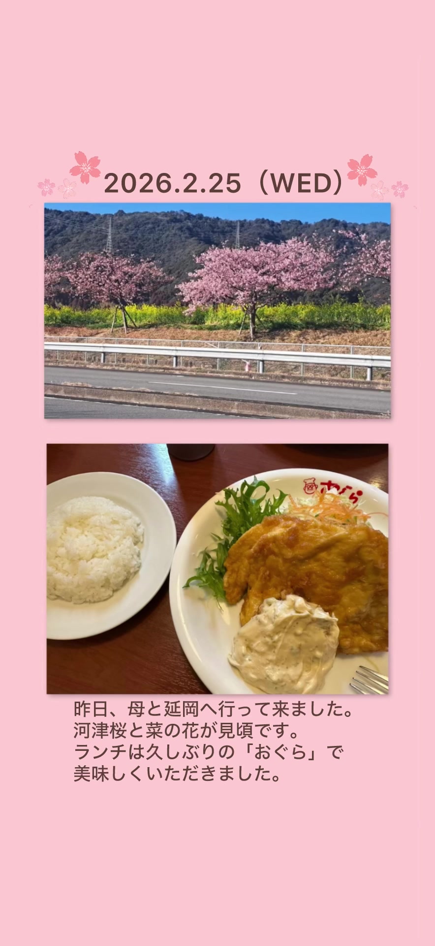 @パンダあねご🇯🇵🐼