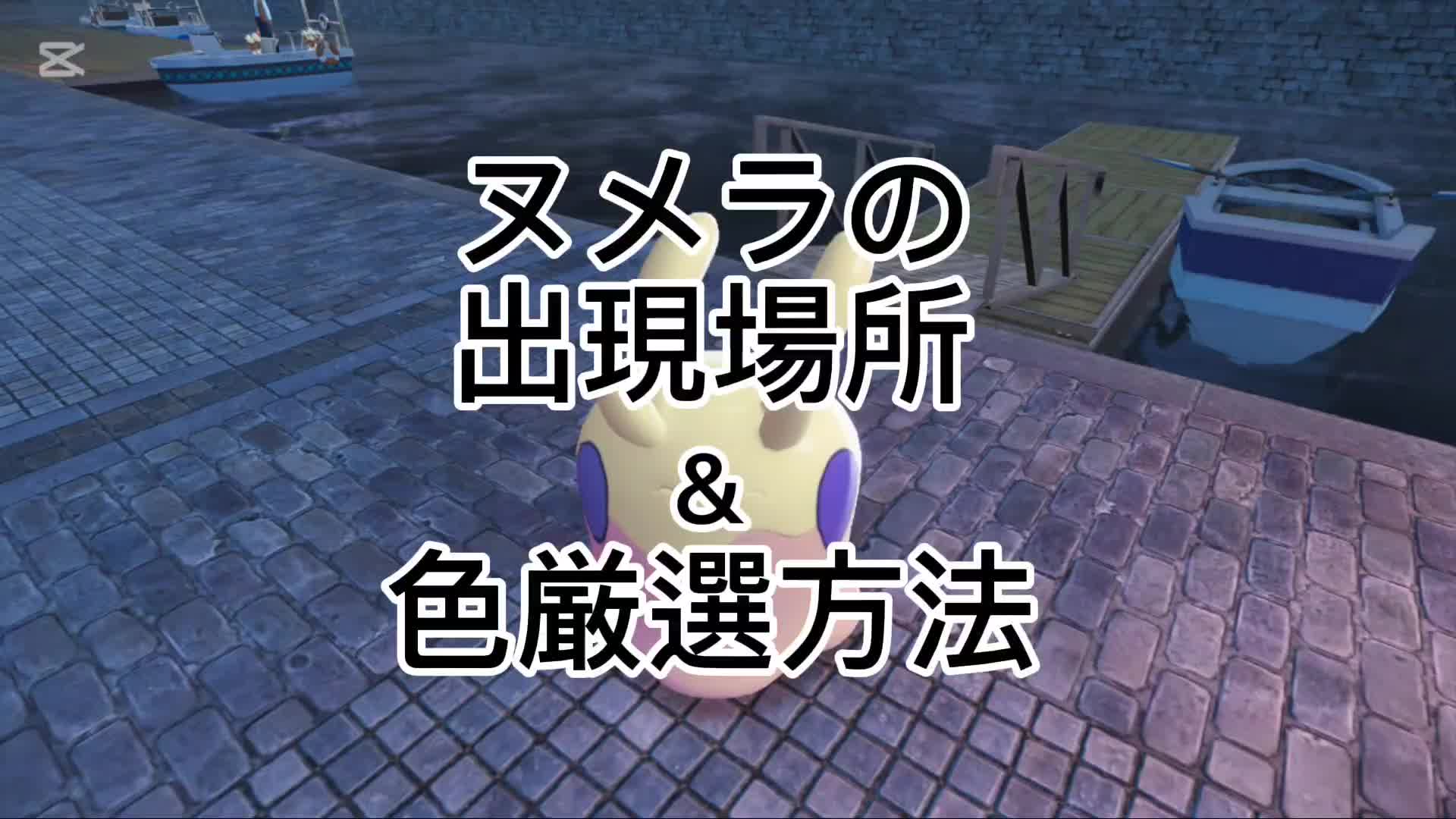 @セク