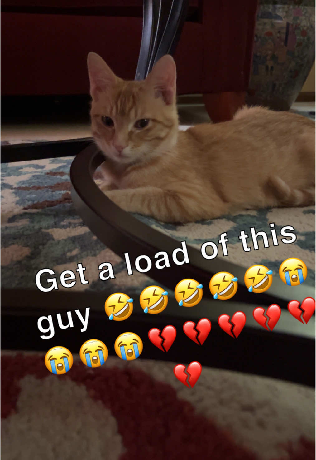 @⭐️
