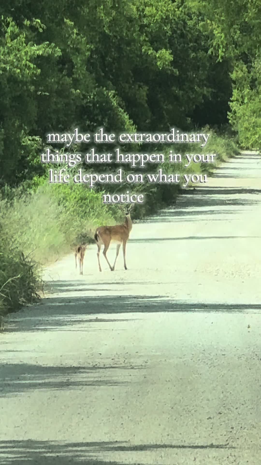@our_texasfarmhouse