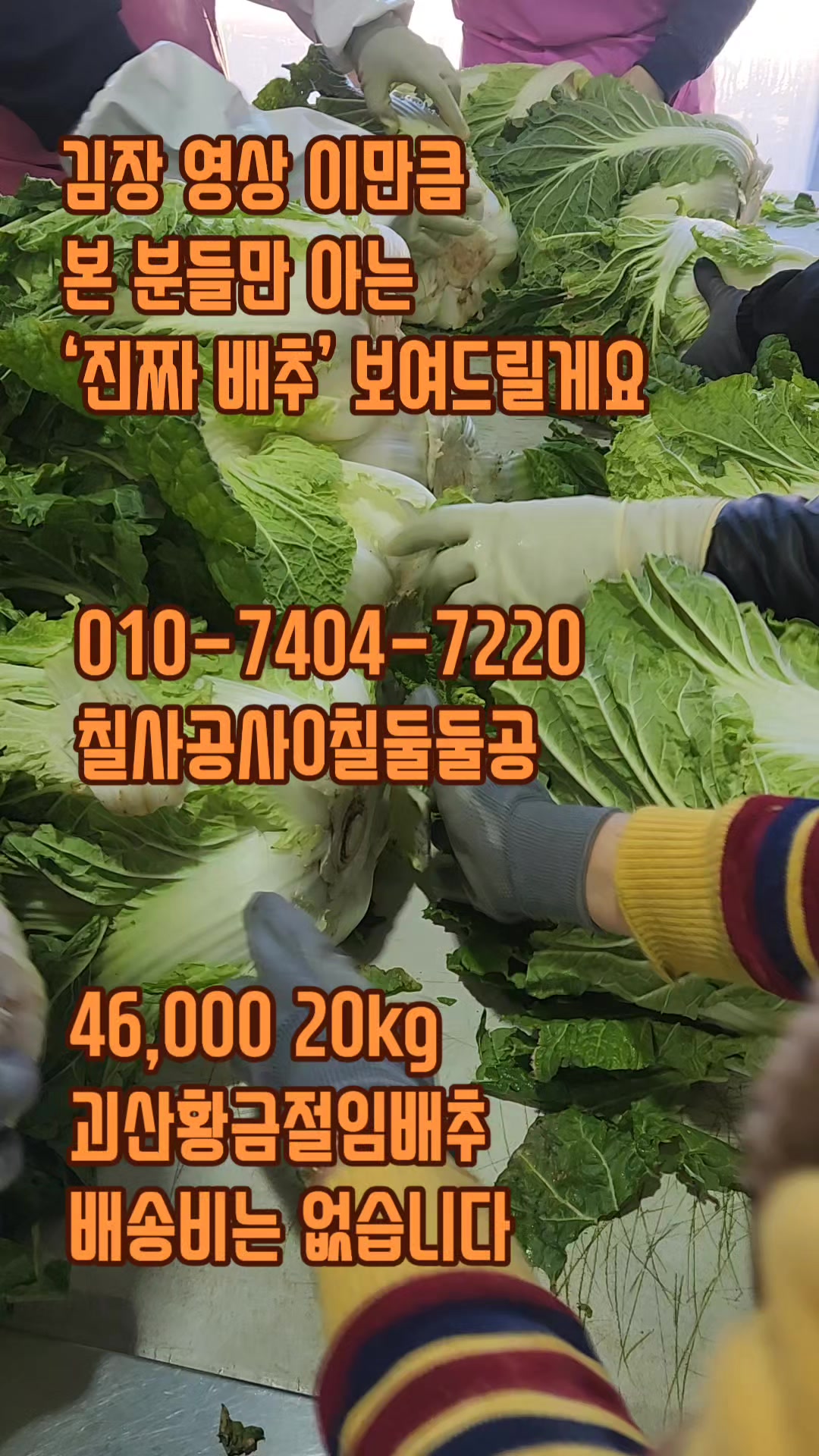 @새콤과일장터