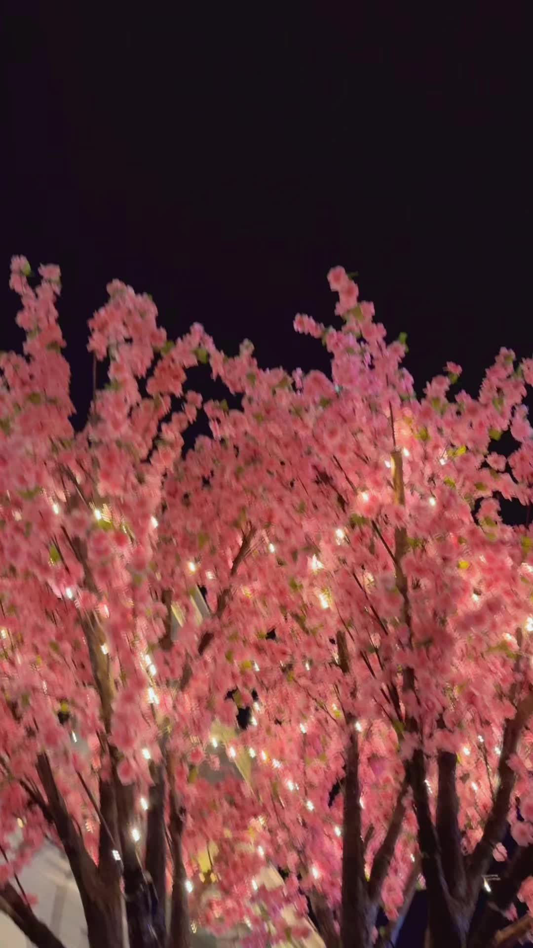 @빠루💜💗🇭🇷