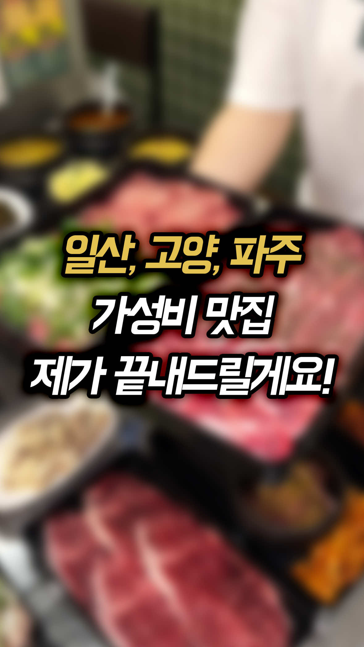 @일산갈고양