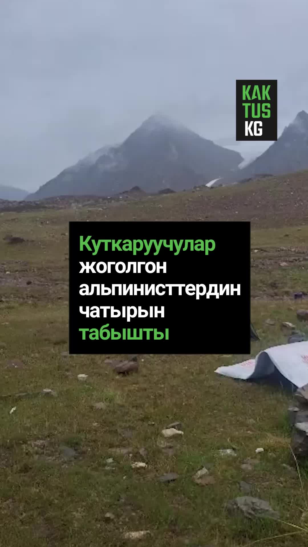 @Kaktus KG