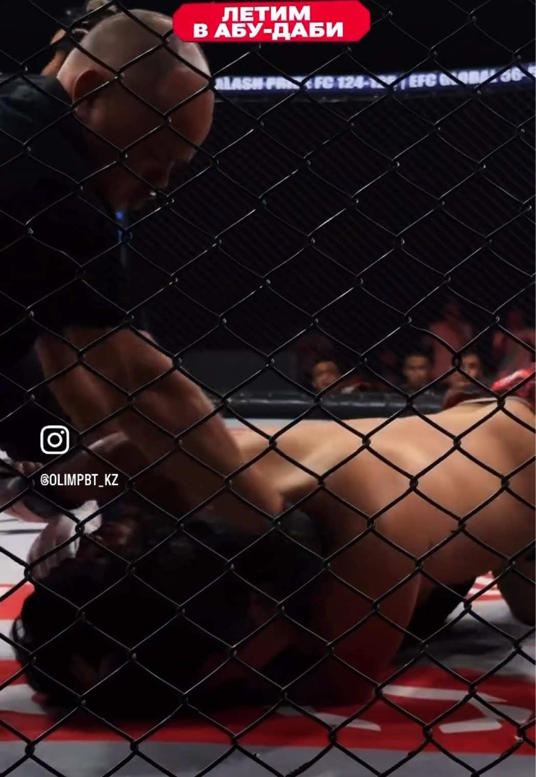 @ALISH MMA