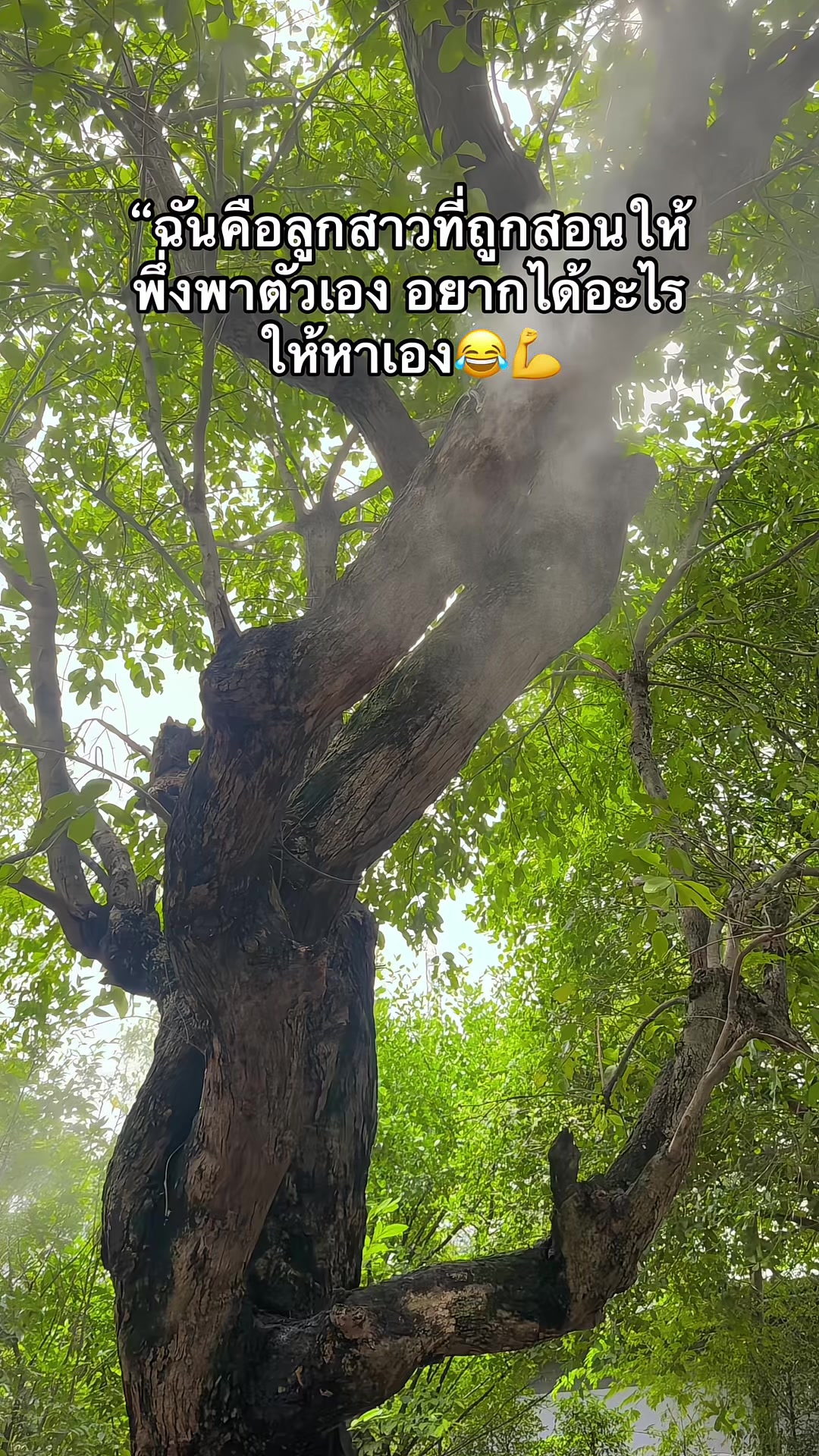 @“อ”แ อ ม ป์ มี่ 😽