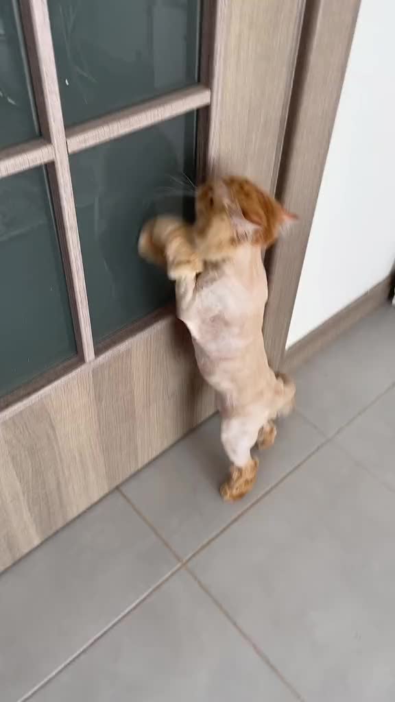 @Çağlacaa