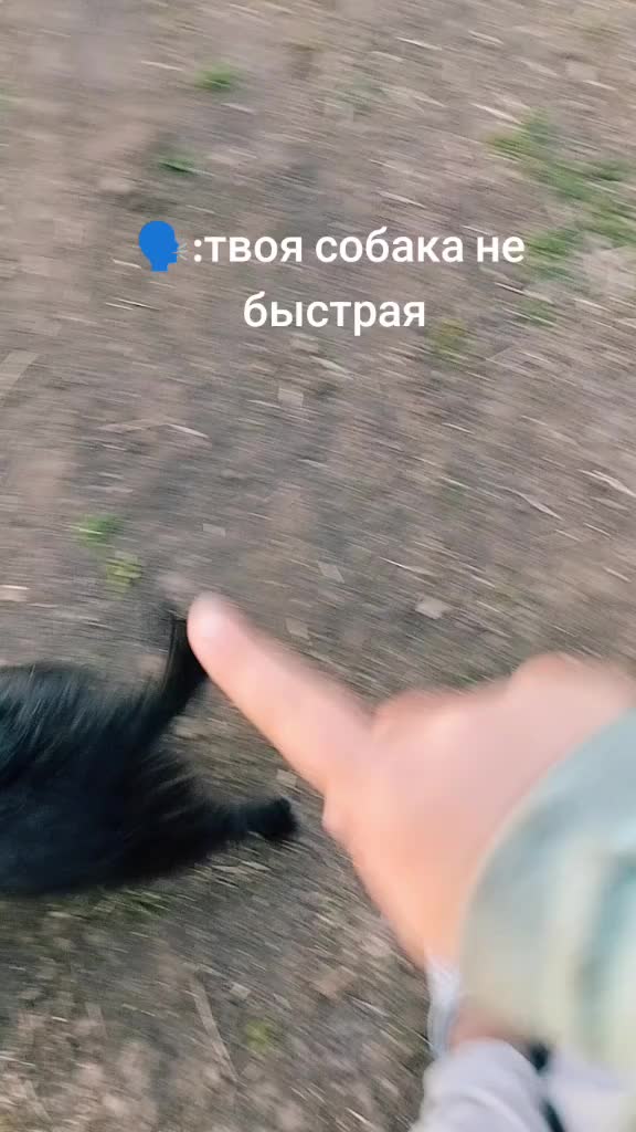 @ДЖЕСС БУМ🏵️🌹🌸