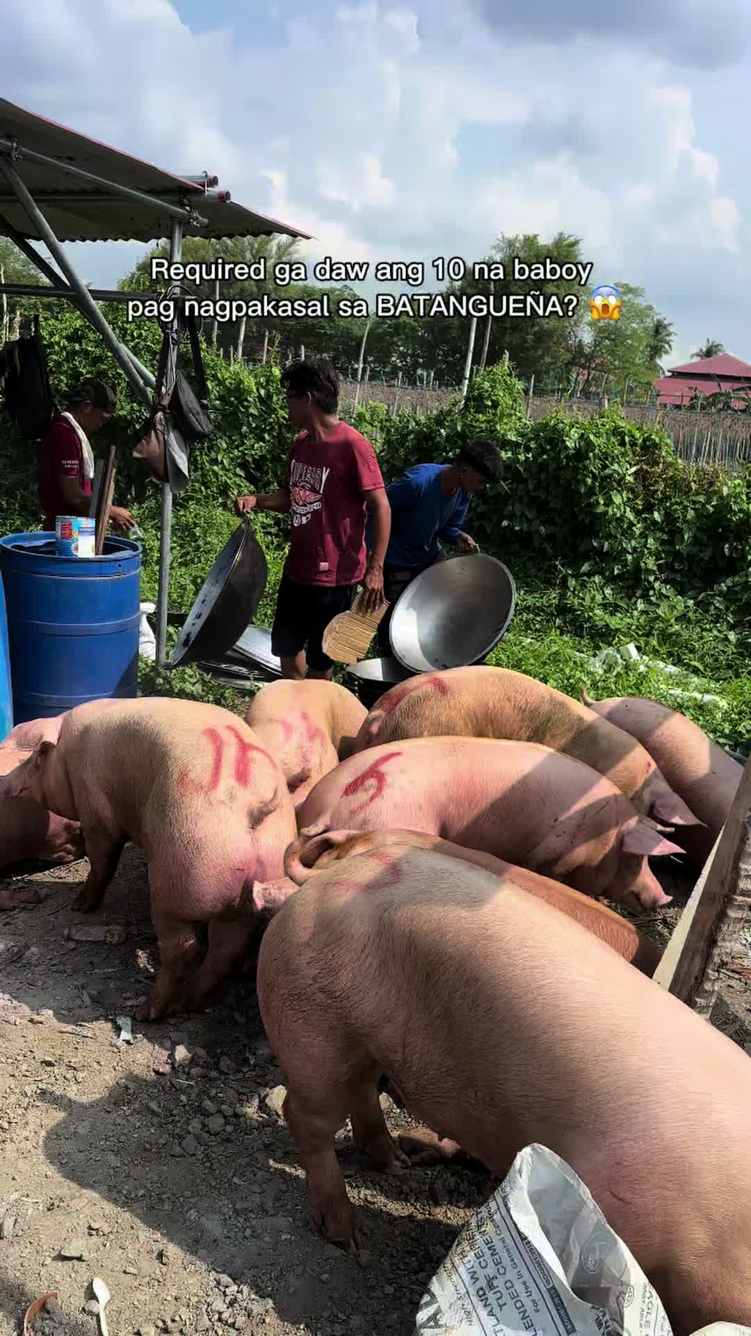 @KapinsanTV