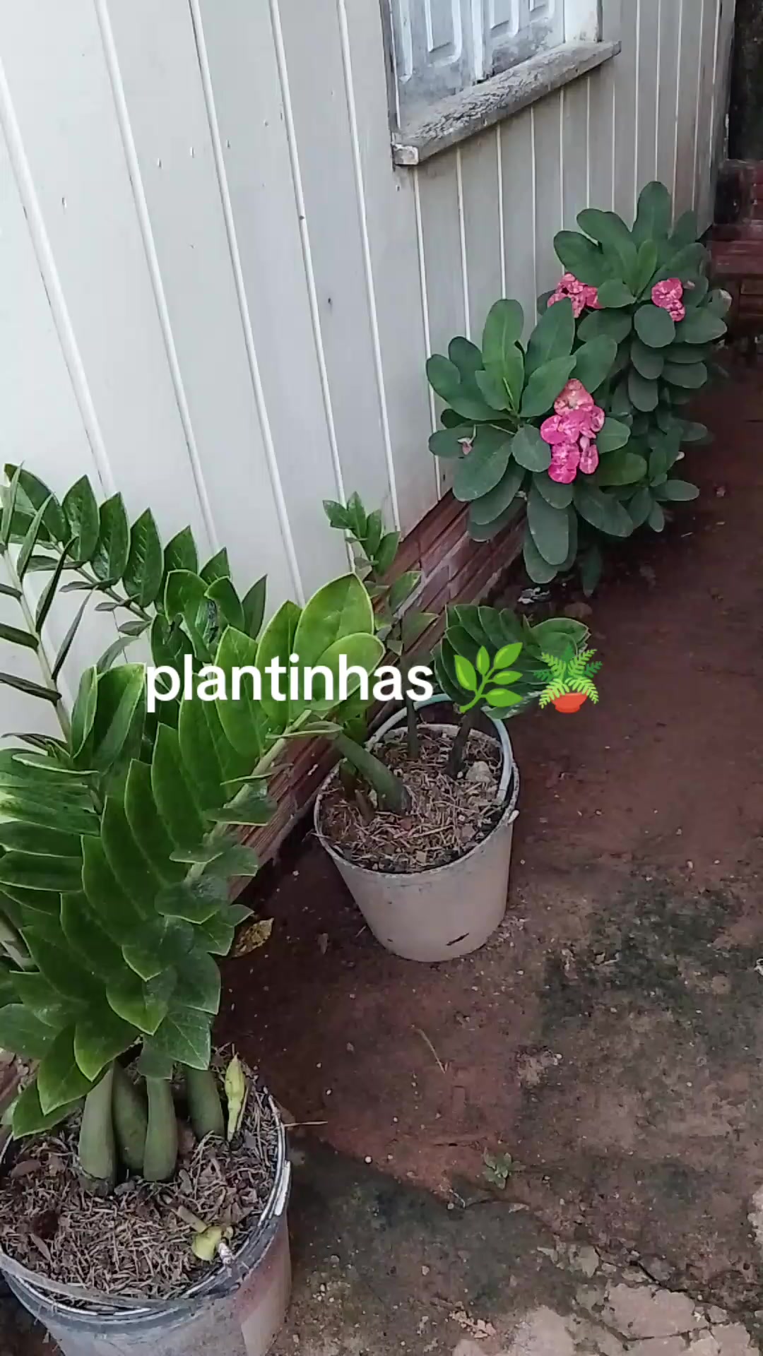 @gloriaczs