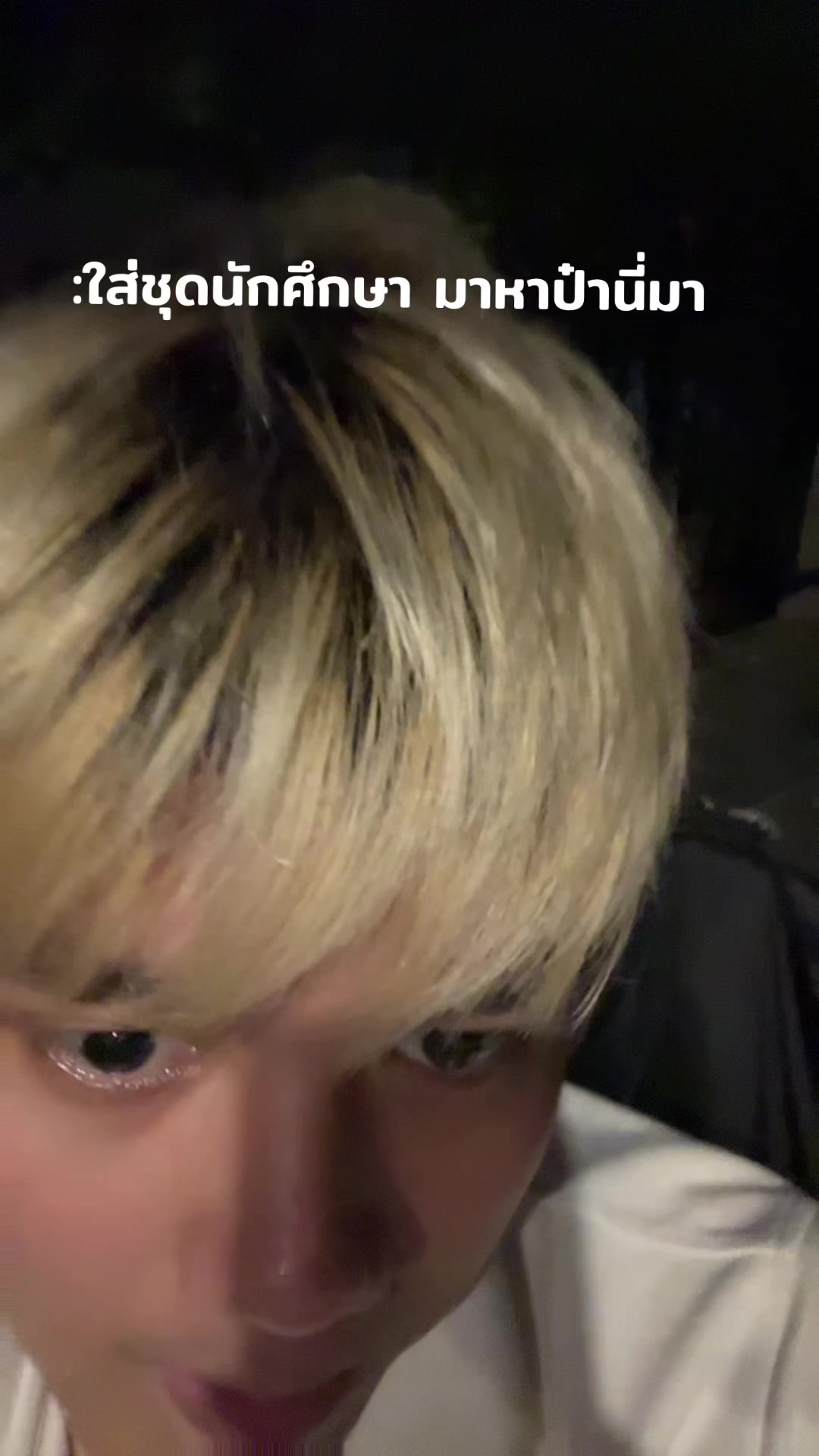 @thisisthebests