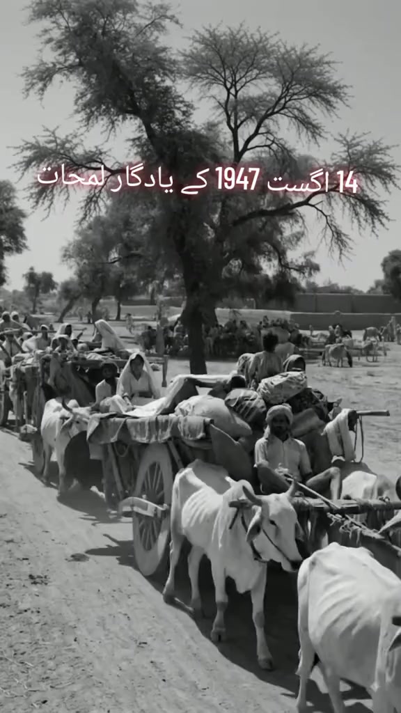 @🇦🇪Faizi 252 🇵🇰