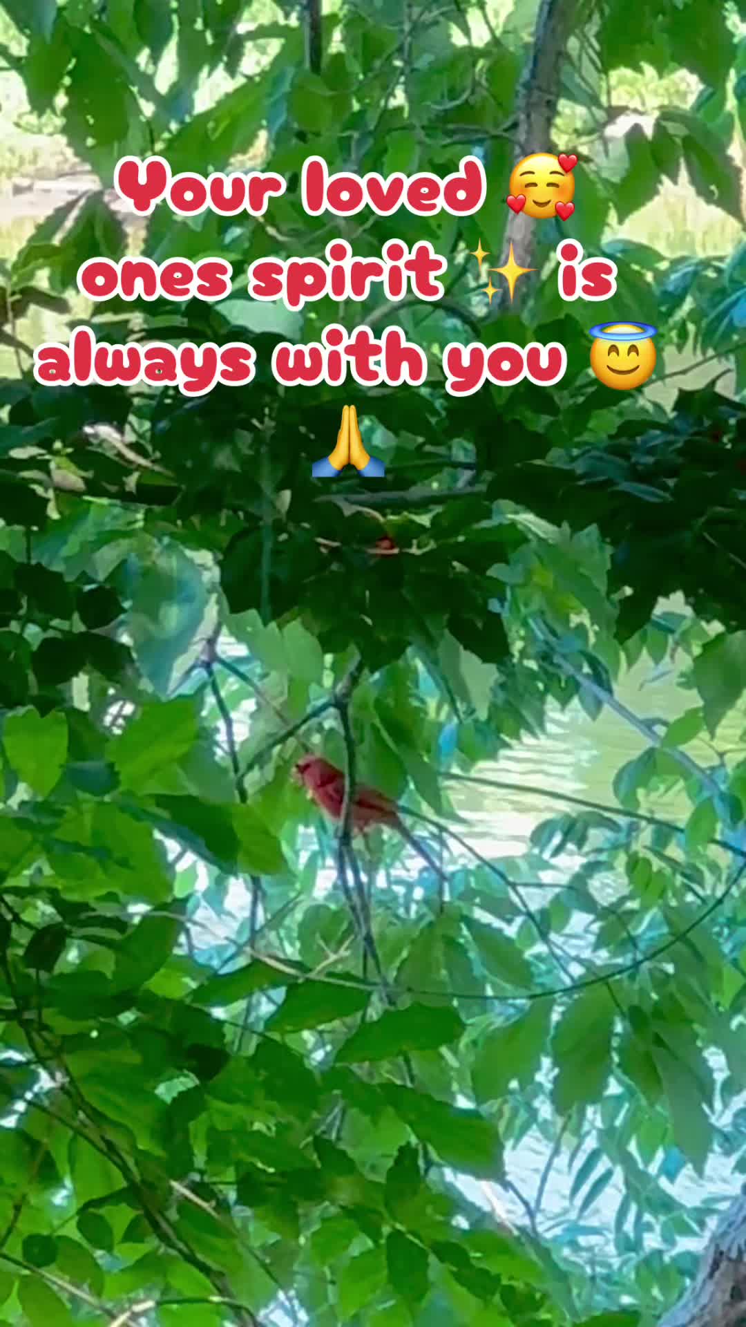 @E🌹