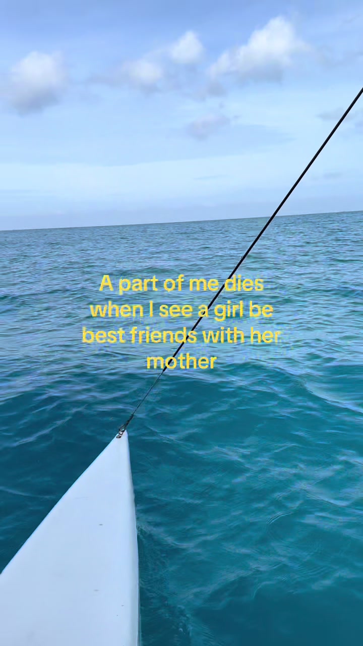 @Shifaa M