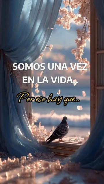 @nicy