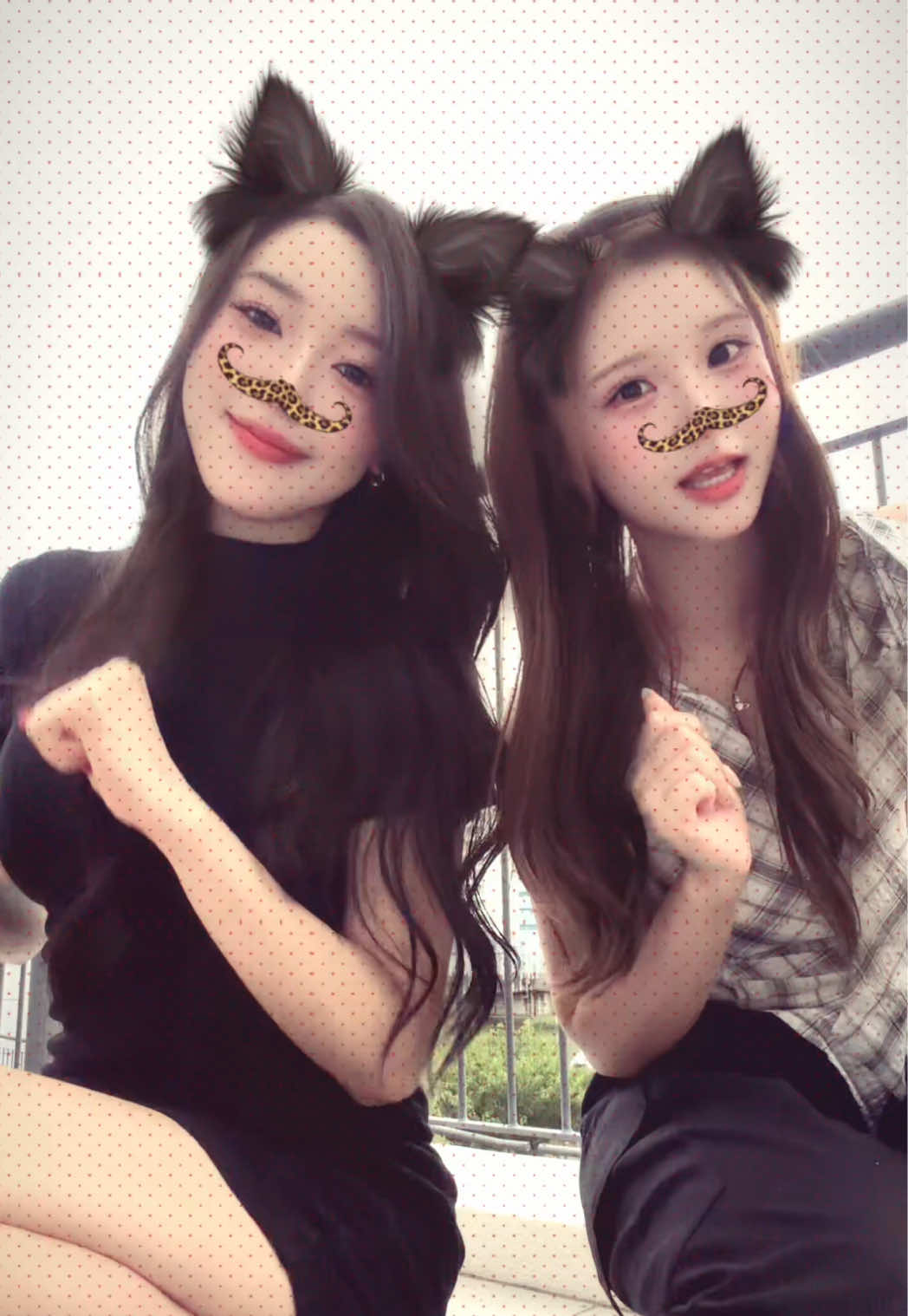 @かとあや先生