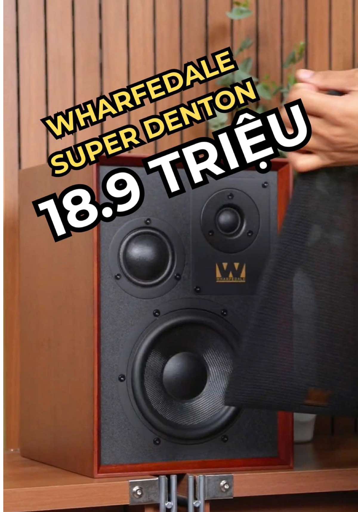 @D&aacute;t V&agrave;ng M&agrave;ng Nhĩ 🎼