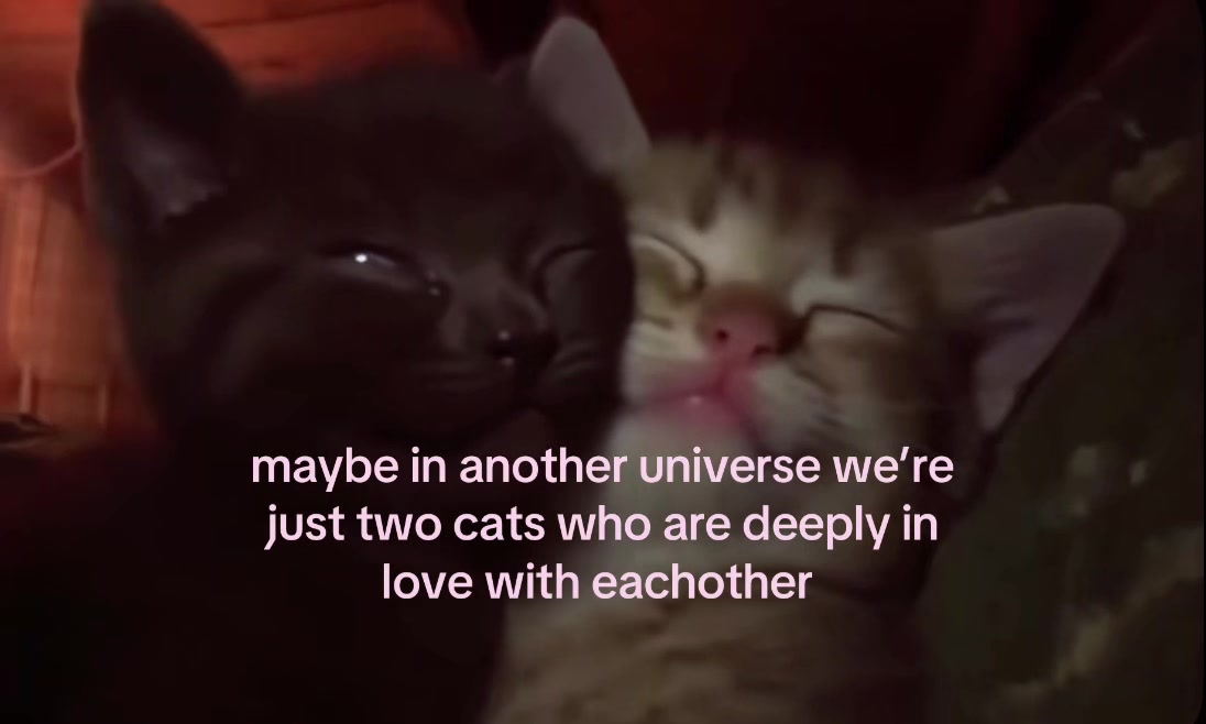 @user636582520