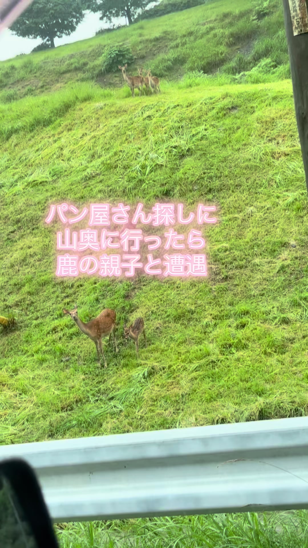 @JUN🍓👑農家のオバタン