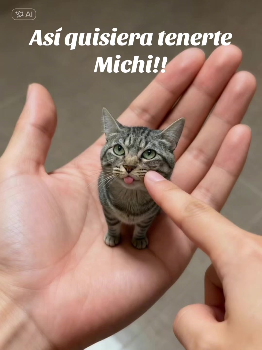 @Mely
