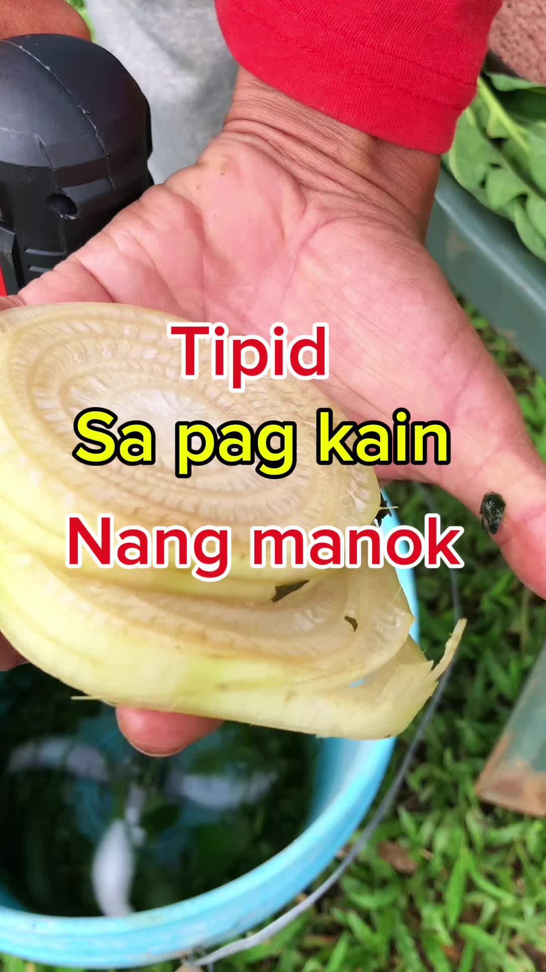 @MOUNT EPOY
