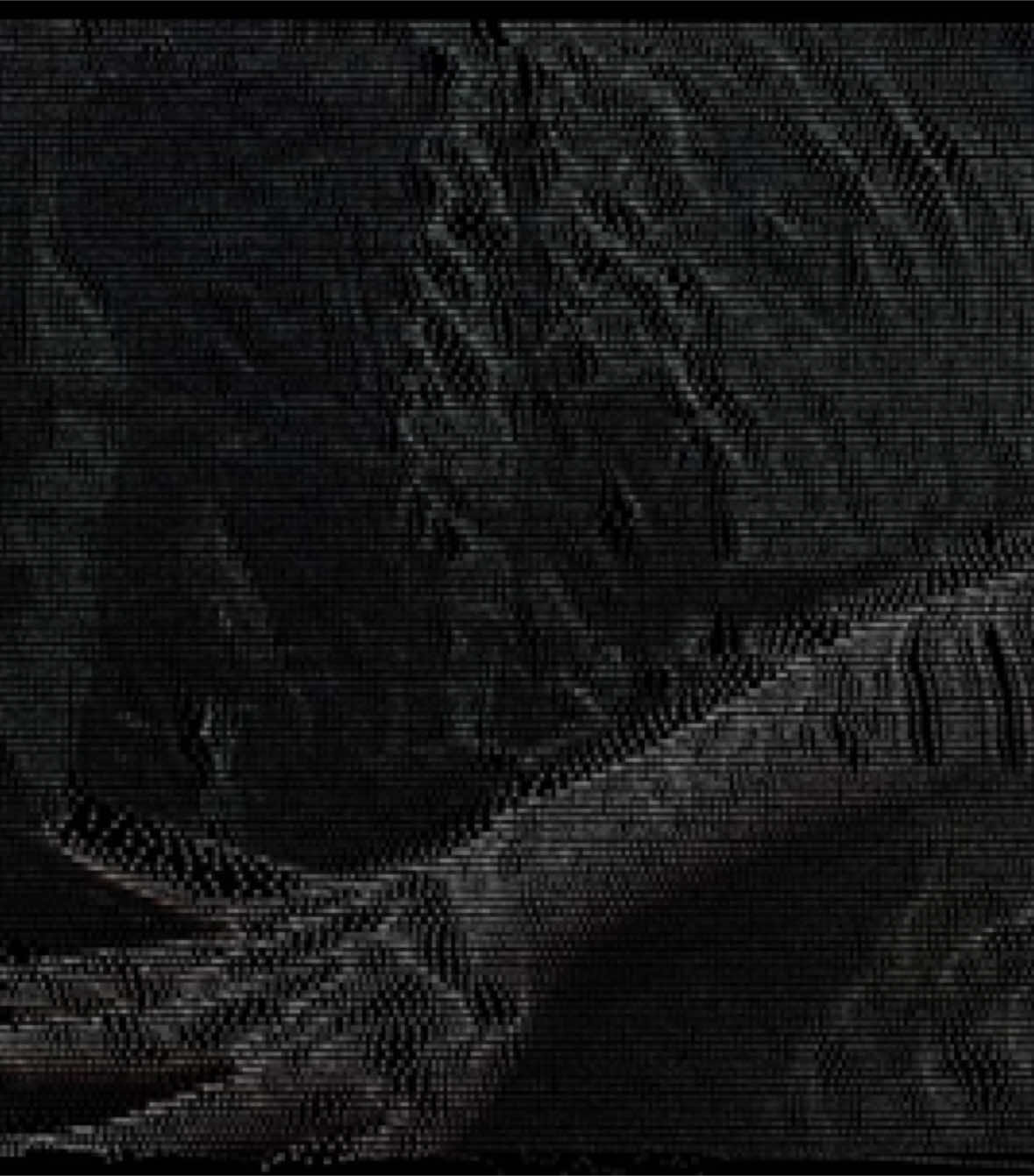 @boredkid.mp4