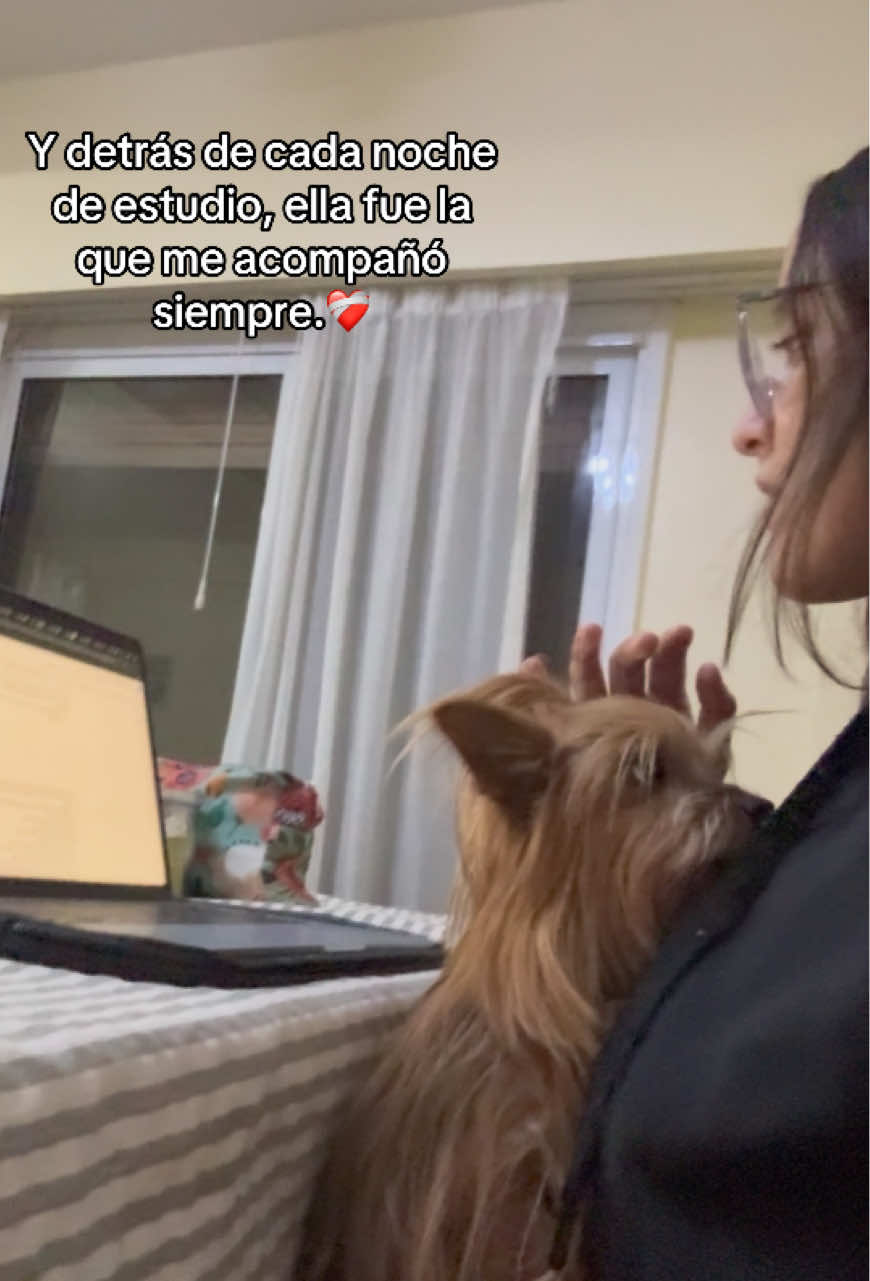 @Paloma Confortola