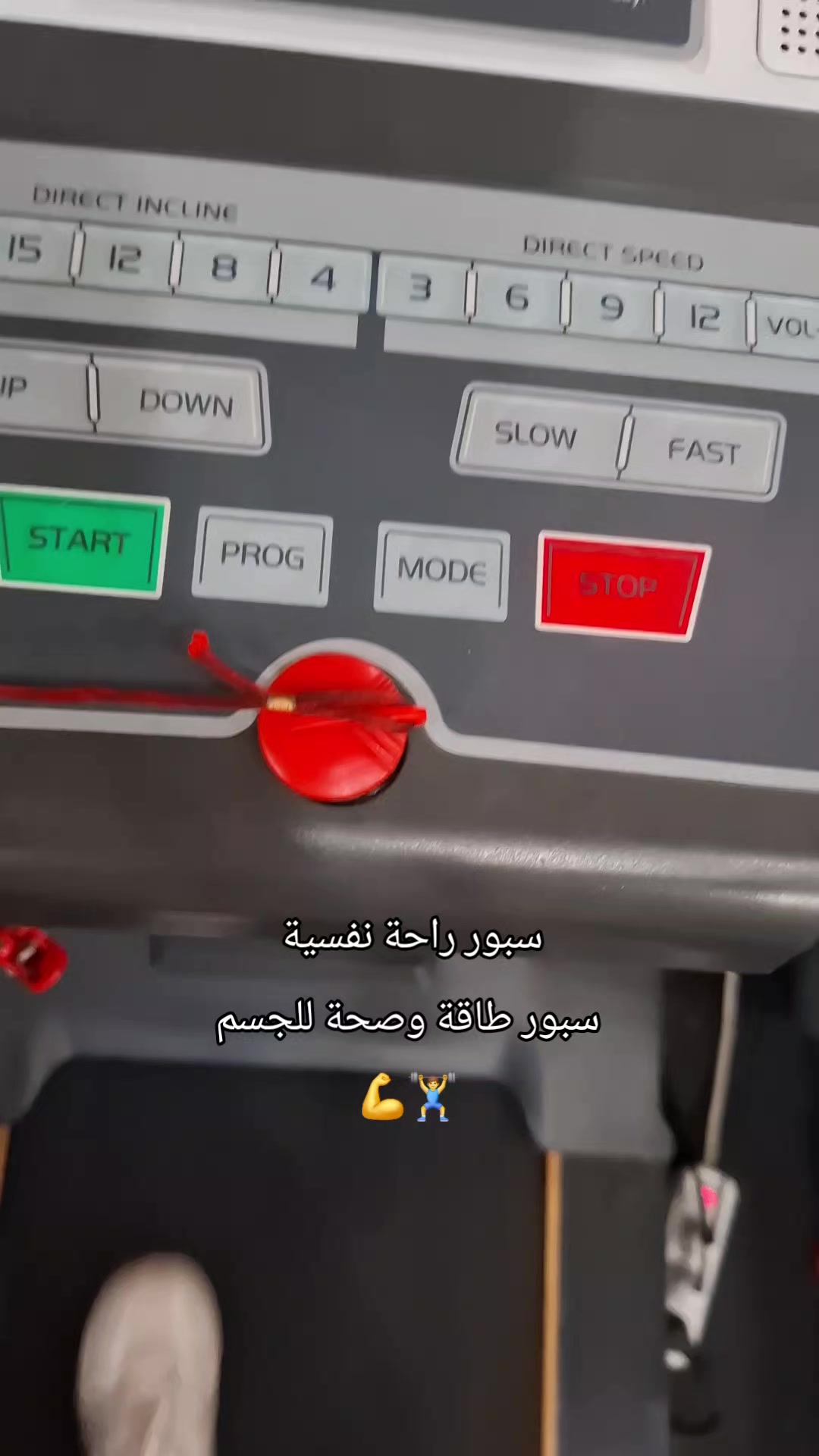 @🏋️🖤Nour💙🐊